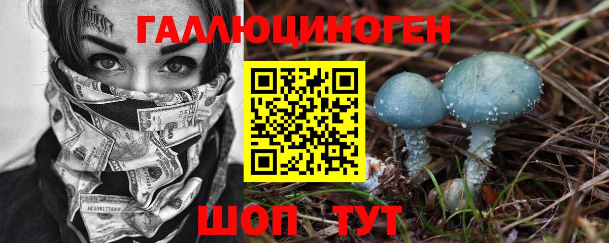 Георгиевск  где можно купить   Вход с VPN  Галлюциногенные грибы Cubensis 